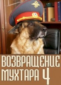 Постер «Возвращение Мухтара»