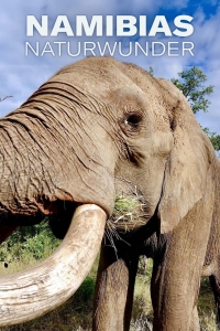 Постер «Экстремальная Намибия»