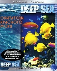 Постер «Обитатели Красного моря»