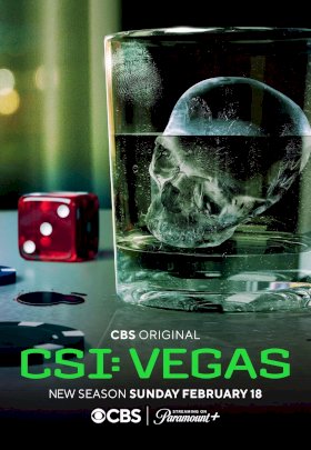 Постер «CSI: Место преступления Вегас»